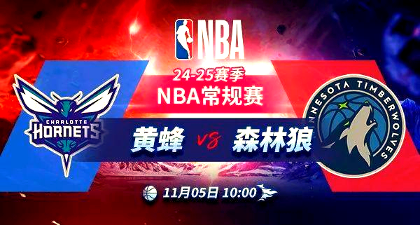 森林狼击败黄蜂，取得胜利