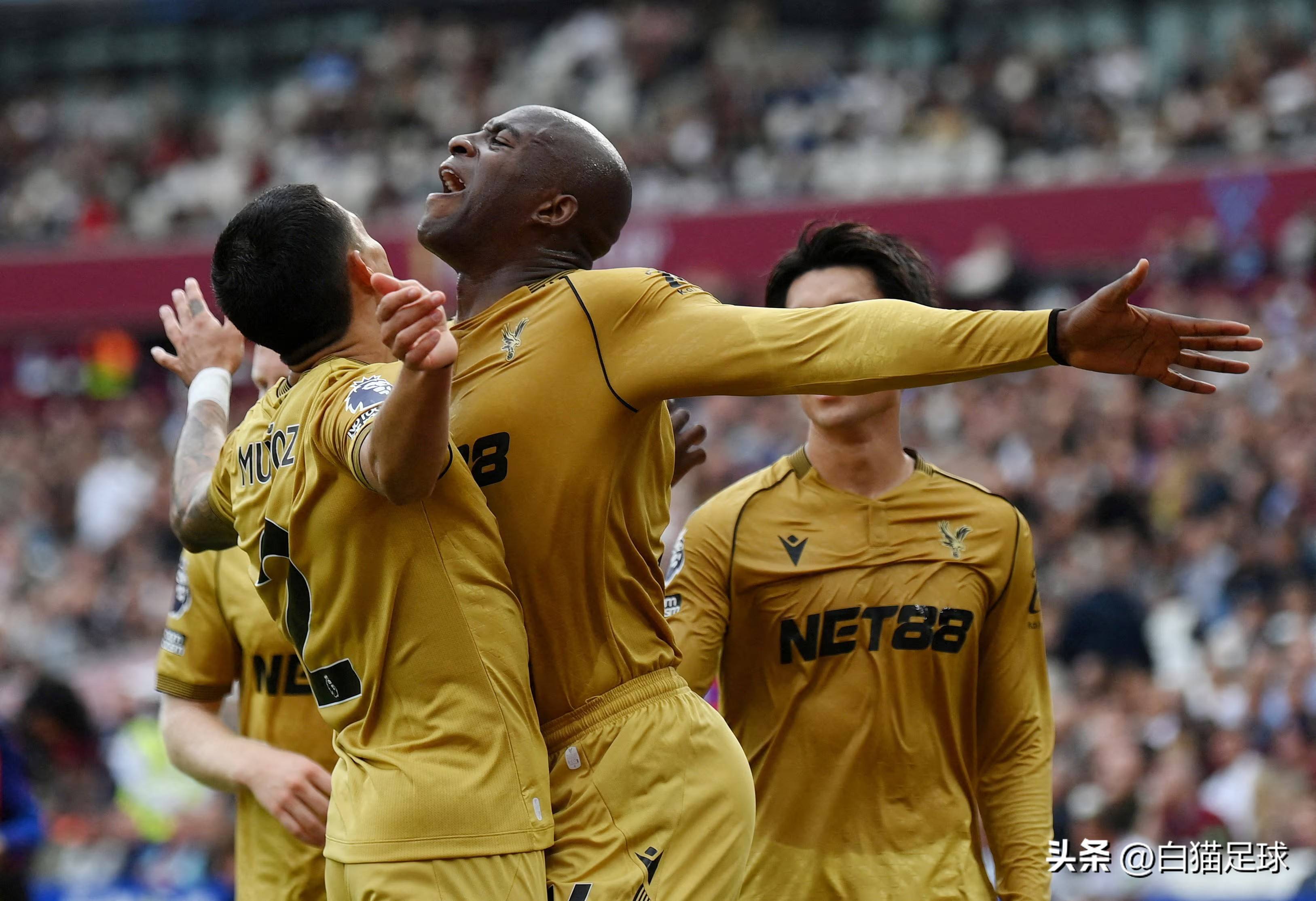 关于水晶宫主教练下课错失升级机会的信息 关于水晶宫主教练下课错失升级机会的信息